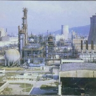Acţionarii minoritari cer revocarea lui Roibu de la Oltchim după ce au făcut o ofertă de privatizare