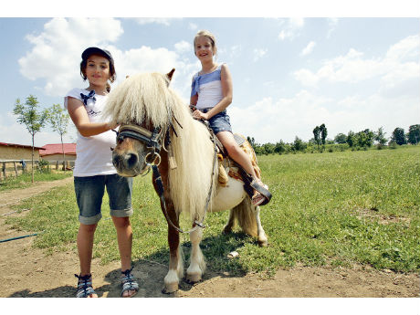 Cum a rezistat ultimul mohican agricol din jurul Capitalei