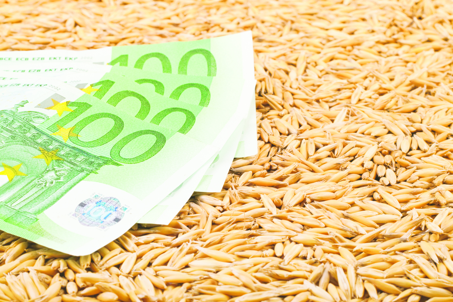 De unde cumpără alimente țara cu două treimi din suprafață teren arabil: Ungaria concentrează 58% din deficitul comerțului cu alimente al României