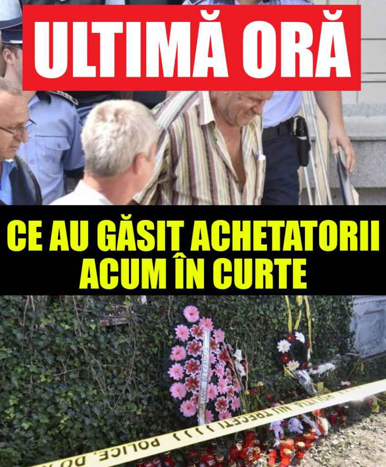 Noi descoperiri șocante în curtea lui Gheorghe Dincă! Ce ascunde o placă de beton turnată de criminal