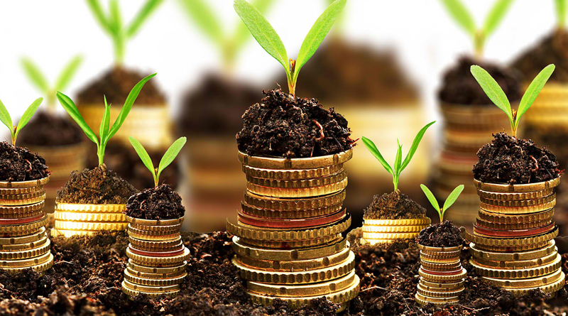 Banca Carpatica aduce la târgul ieșean Agralim o ofertă specială pentru fermierii participanți