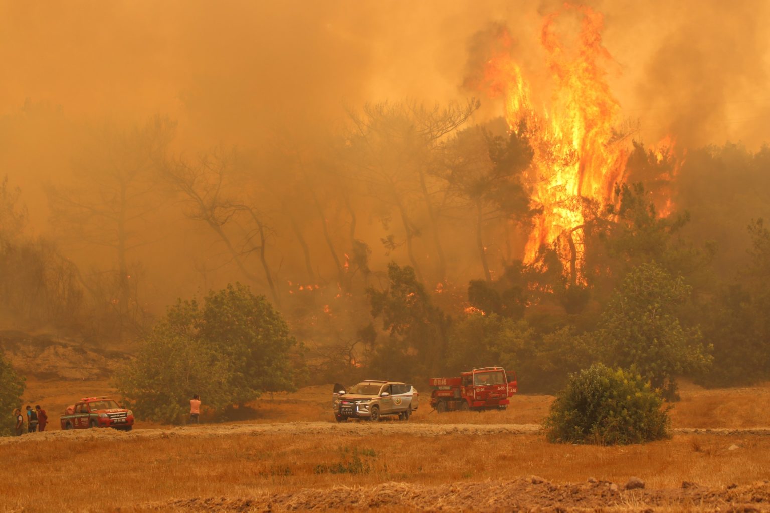 Tragedie în Turcia. Incendiile au ucis mai multe persoane ...