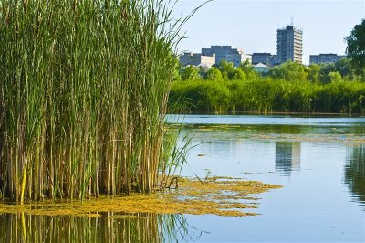 Spaniolii au găsit ”O COMOARĂ ECOLOGICĂ” în mijlocul Bucureștiului