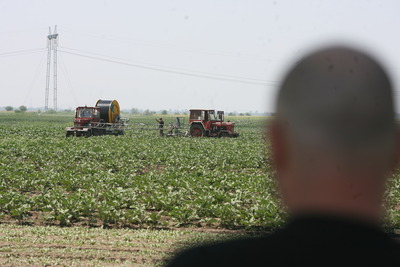 Utilajele agricole ar putea scăpa de impozitele aplicate vehiculelor