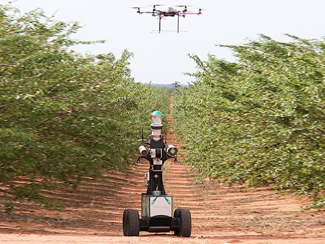 Iată ce spun serviciile americane de informaţii despre agricultura anului 2030